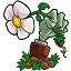 植物大战僵尸 For Mac