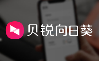 向日葵远程控制客户端段首LOGO